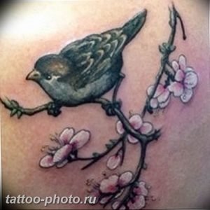 рисунка тату воробей 03.12.2018 №141 - photo tattoo sparrow - tattoo-photo.ru